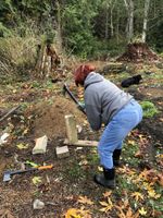Pruned the Blackberries