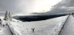 Hurricane Ridge Today
