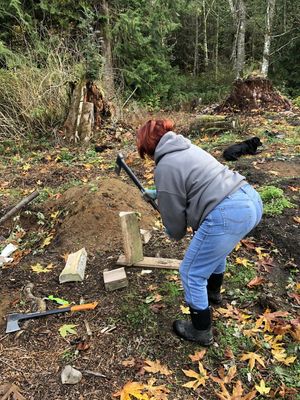 Pruned the Blackberries