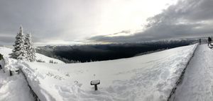 Hurricane Ridge Today