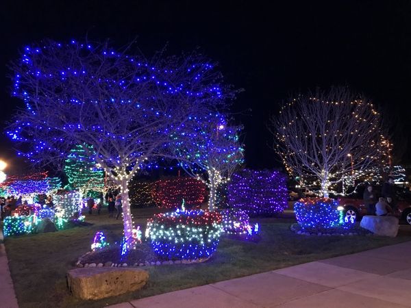 Kingston Tree Lighting