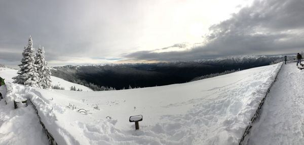 Hurricane Ridge Today